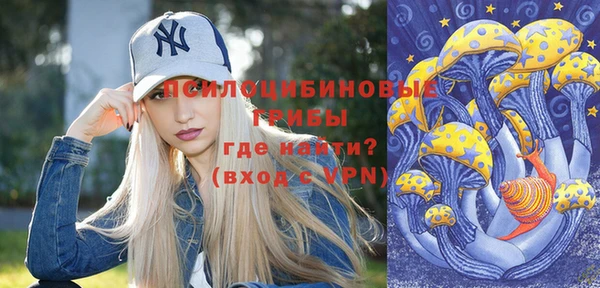 бошки Алексеевка