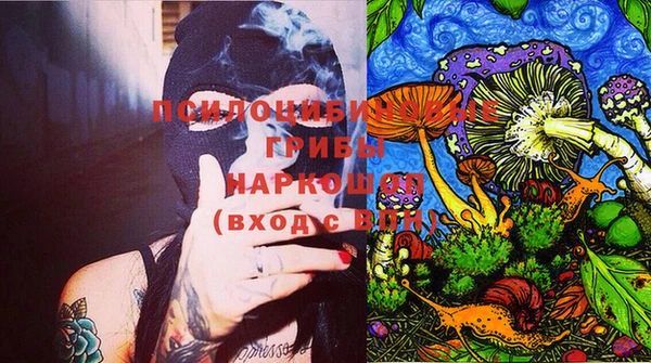 эйфоретик Алзамай