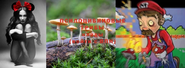 эйфоретик Алзамай