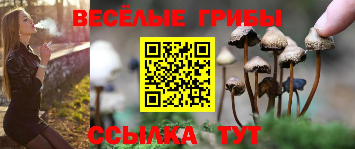 Псилоцибиновые грибы Magic Shrooms Старый Оскол